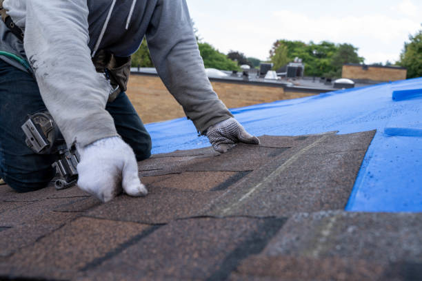 Best Tile Roofing Contractor  in Waverly, MN