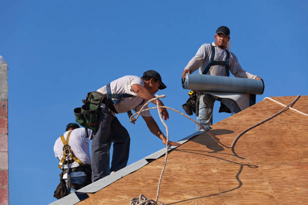 Quick and Trustworthy Emergency Roof Repair Services in Waverly, MN