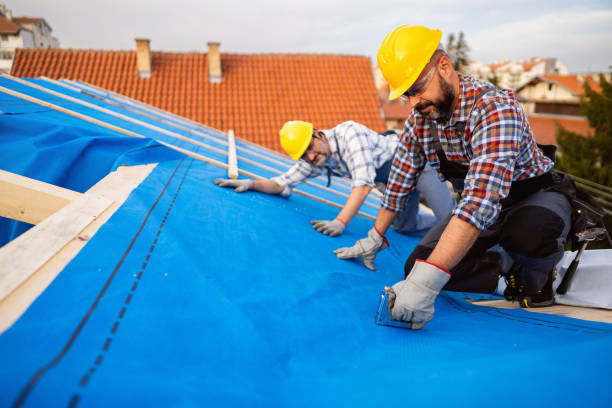 Best Emergency Roof Repair  in Waverly, MN