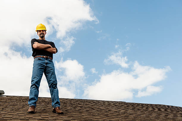Best Shingle Roofing Installation  in Waverly, MN