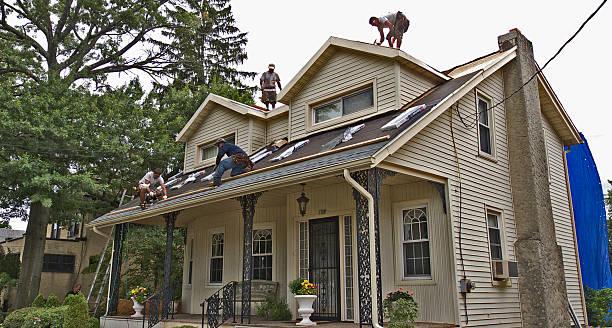 Professional Roofing Contractor in Waverly, MN