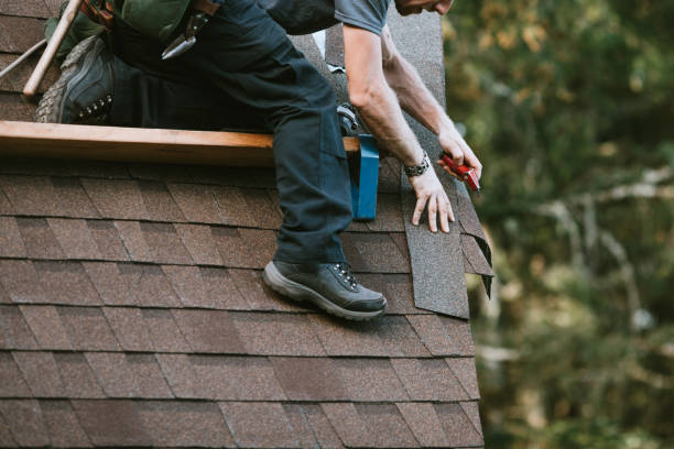Best Residential Roof Replacement  in Waverly, MN